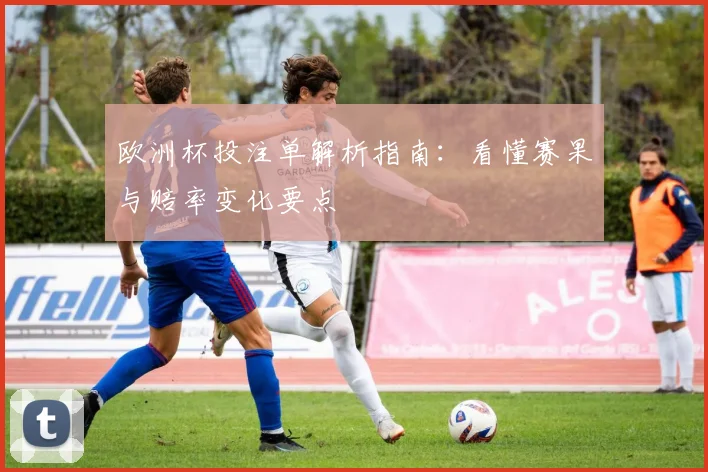 欧洲杯投注单解析指南:看懂赛果与赔率变化要点