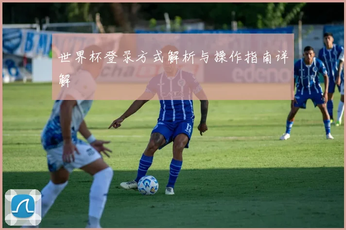 世界杯登录方式解析与操作指南详解